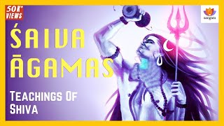 Śaiva Āgamas  Arti Agarwal  Who is Shiva  Paramahamsa Nithyananda Disciple [upl. by Haidabej271]