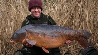 Terry Hearn  The Parrot  Iconic Carp Fishing [upl. by Devinna]