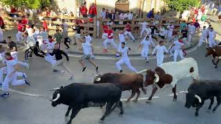 Vídeo del primer encierro de las fiestas de Tafalla 2024 [upl. by Harahs242]