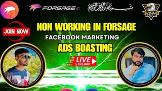 How to Daily Joining in Forsage Busd Professional Poster Forsage Busd [upl. by Ibob]