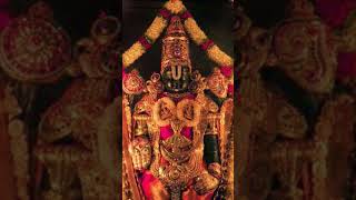 Powerful venkateswara swamy mantra ttd tirupatibalaji venkateswara omnamovenkateshaya padmavati [upl. by Washko]