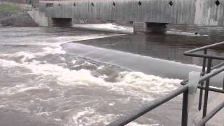 Ammonoosuc River and Connecticut River Flood Stage [upl. by Kallman]