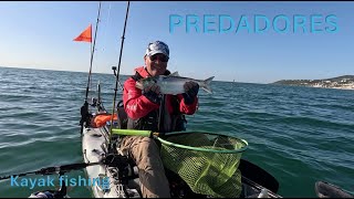 PREDADORES  Kayak fishing [upl. by Nybor130]