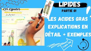 📣1 Les Lipides Partie1 Les Acides Gras explication en détail  des exemplesاقوى مراجعة لللبيدات [upl. by Assil403]