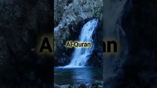 Surah Maryam aayat 19  Urdu Translation quran nature shorts peace islam surahmaryam faith [upl. by Ernald31]