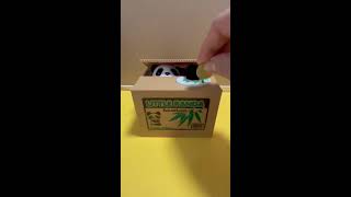 Little Panda Coin Bank Lets Play and Enjoy ASMRSOUNDS shortslive shortsfeed asmr [upl. by Longan]