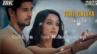 Ek villain Teri galiyan mashup Sed Song Nuw 2025 [upl. by Rolph770]