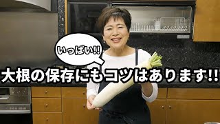 大根の保存方法・選び方・使い分けをマスター！ [upl. by Zinn]