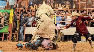 ¡TORNEO REY DE MÉXICO 2019 28 TOROS EN EL TORNEO DE JARIPEO MAS IMPORTANTE DE MÉXICO [upl. by Kcirdneked]