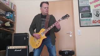 Bis zum bitteren Ende  Die Toten Hosen Guitar Cover [upl. by Daza]