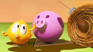 Chicky on the farm  Wheres Chicky  Cartoon Collection in English for Kids  New episodes HD [upl. by Ynotna]