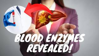 Blood Enzymes Explained Hidden Indicators of Heart and Liver Health [upl. by Assiar378]