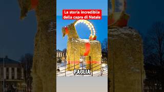 La capra di Natale [upl. by Yvehc]