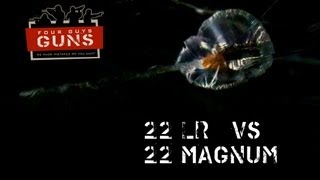 22 LR vs 22 Magnum Clear Ballistics Comparison [upl. by Courtenay699]