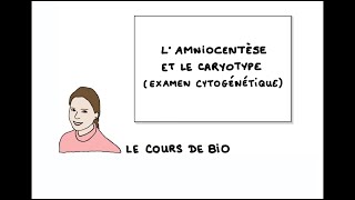 L’aminocentèse et le caryotype examen cytogénétique [upl. by Losyram431]