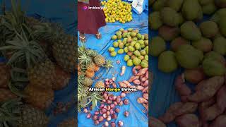 quotUnveiling African Superfoods Secrets to a Healthy Lifestylequot [upl. by Keefer]