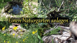 Einen Naturgarten anlegen  Grundlagen für den naturnahen Garten [upl. by Ahsein]