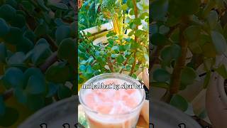 Mohabbat Ka Sharbat Recipe youtubeshorts mohabbatkasharbat shorts summerdrink [upl. by Awjan336]