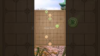 xiangqi cờtàn cogiangho chinesechess xiangqichecker cotuong cờtướngcờthế [upl. by Canter]