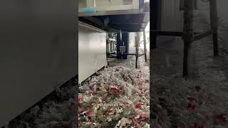 PET shredding and recycling  Plastic shredder [upl. by Enovi692]