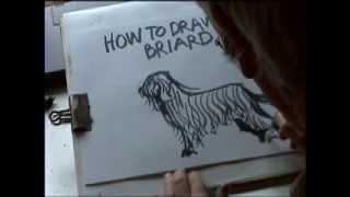 HOW TO DRAW A BRIARD [upl. by Barbarese]