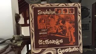 Indrani Perera amp Milton Mallawarachchi Samanala Raenak Se Film Senakeliya [upl. by Ahsimal441]