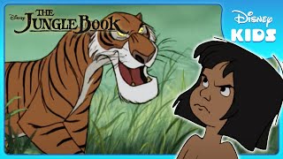 🐯 Mowgli Faces Shere Khan  Jungle Book  Disney Kids [upl. by Tocci489]