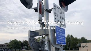 Random Railfan  Wildwood Crossing  Amtrak 351 Wolverine on the Michigan Line [upl. by Roxane]