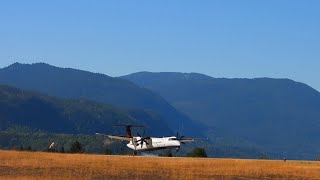 Air Canada Q400 Mountainous Approach amp Landing in Castlegar BC [upl. by Gretta]