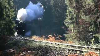 Schwäbische Waldbahn 2011 im Tannwald bei Welzheim [upl. by Eugirne264]