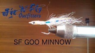 SF Goo Minnow [upl. by Ynatsed834]