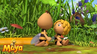 Willy saves Maya  Maya the bee🐝🍯🐝 [upl. by Averill]