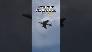 🇬🇧 Epic Hunter Jet Blue Note Sound shortvideo fighterjet aviation fyp [upl. by Akimat573]