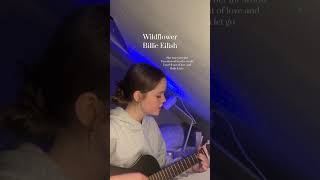 Wildflower  Billie Eilish 💙 guitar acousticguitar singing cover wildflower guitar cover [upl. by Wurtz]