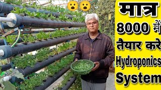 सिर्फ 8000₹ में छत पर तैयार करे इतना बड़ा Hydroponics system और तोड़े बहुत सारी सब्जिया। [upl. by Platon]