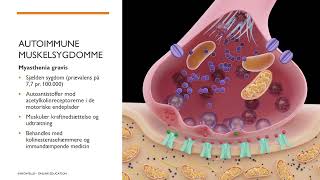 Patologi sygdomslære  Muskelsygdomme [upl. by Olram292]