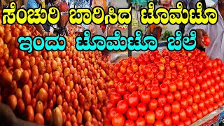 Today Tomato Price  Karnataka Vegetables Price  YOYO Kannada News [upl. by Pablo598]