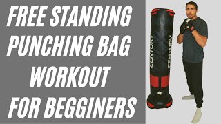 STANDING PUNCHING BAG WORKOUT for BEGINNERS  20 Minutes  Burn 240 calories [upl. by Louls]