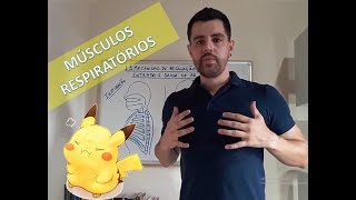 Músculos respiratórios Diafragma e Intercostais e seu papel na Inspiração e Expiração [upl. by Dnalyk941]