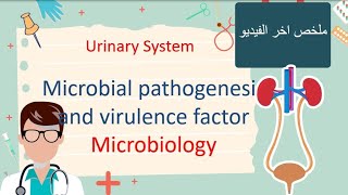 Bacteria Virulence Factors Microbiology هتخرج حافظ وفاهم [upl. by Thackeray]