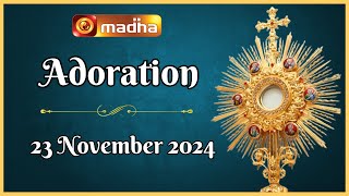 🔴 LIVE 23 November 2024 Adoration 1100 AM  Madha TV [upl. by Fowkes989]