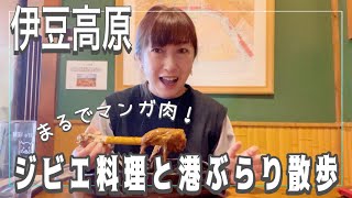 【伊豆高原】まるでマンガ肉！伊豆ジビエと八幡野港ぶらり散歩ampプリン味のソフトクリーム グルメ 伊豆 散歩 鹿肉 [upl. by Dloreg]