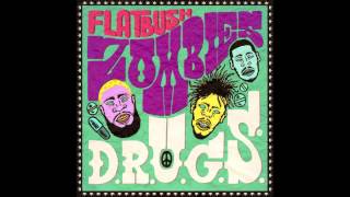 Flatbush Zombies  SCOSA Prod By Erick Arc Elliott [upl. by Birck]