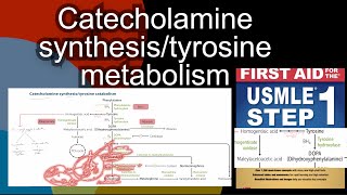 Phenylketonuria  phenylalanine embryopathy in HindiUrdu by first aid for USMLE step 1 [upl. by Nasas]