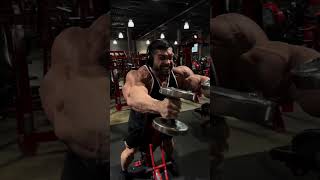 DEREK LUNSFORD SHOULDERS WORKOUT shoulder shoulderworkout dereklunsford bodybuilding gym [upl. by Karlik]