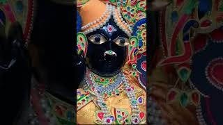 Shri banke bihari vinay pachasa❤banke biharibankebiharitemplevrindavanvrindaradhakrishnashorts [upl. by Ierbua]