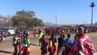 Swazi Reed Dance Umhlanga 2014 HD [upl. by Kir]