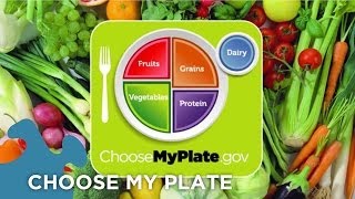 Choose My Plate Dietary Guidelines [upl. by Gentes]