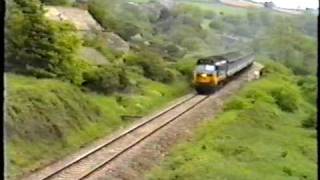 50017 climbs Honiton bank at Willmington Farm [upl. by Nosiddam435]