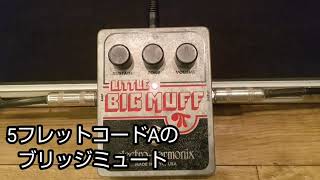 ELECTROHARMONIX LITTLE BIG MUFFの音 【エフェクター FUZZ】 [upl. by Toogood39]